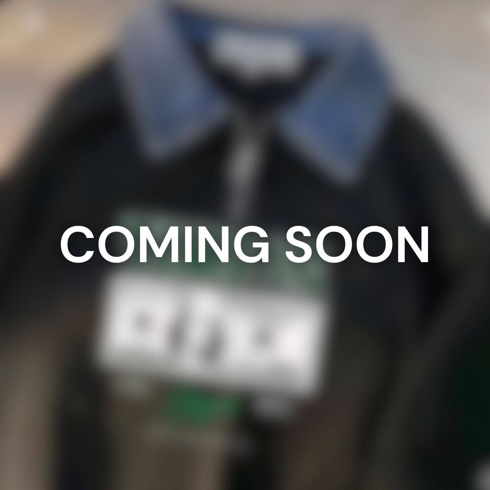 Money Collar Sweatshirt